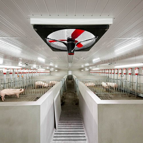 Motor y hélice de un ventilador industrial