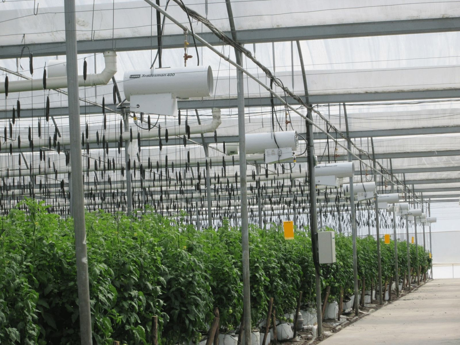 Imagen profesional de un calefactor industrial